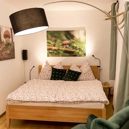 Charming 45m2 In Heart Of Graz